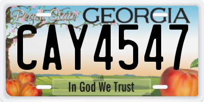 GA license plate CAY4547
