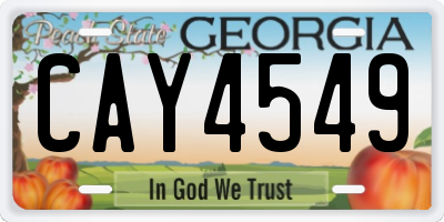 GA license plate CAY4549