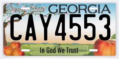 GA license plate CAY4553