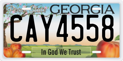 GA license plate CAY4558
