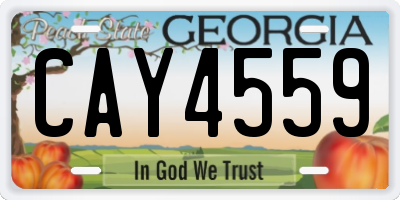 GA license plate CAY4559