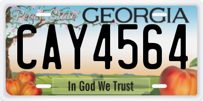 GA license plate CAY4564