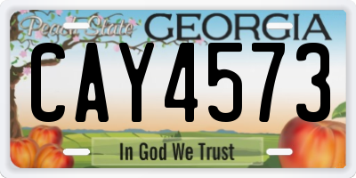 GA license plate CAY4573