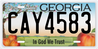 GA license plate CAY4583