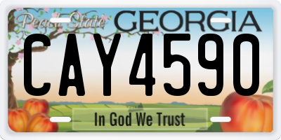 GA license plate CAY4590