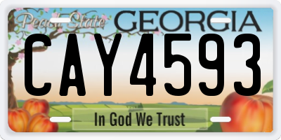 GA license plate CAY4593