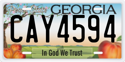 GA license plate CAY4594