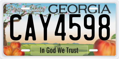 GA license plate CAY4598