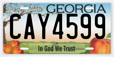 GA license plate CAY4599