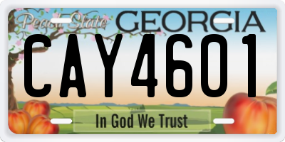 GA license plate CAY4601