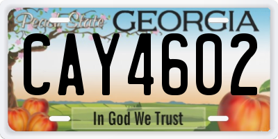 GA license plate CAY4602