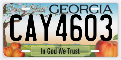 GA license plate CAY4603