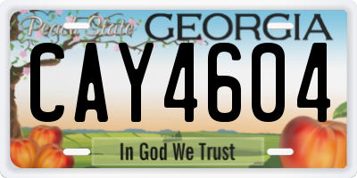 GA license plate CAY4604
