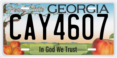 GA license plate CAY4607