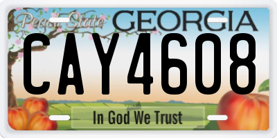 GA license plate CAY4608
