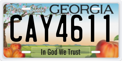 GA license plate CAY4611