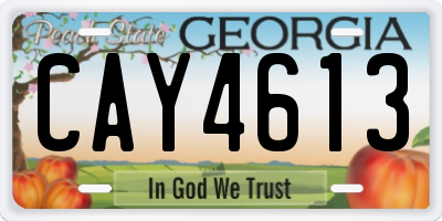 GA license plate CAY4613