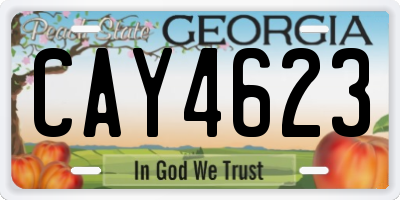 GA license plate CAY4623