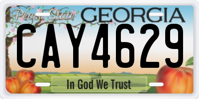 GA license plate CAY4629