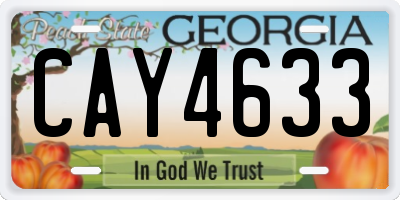GA license plate CAY4633