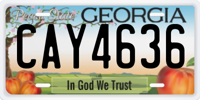 GA license plate CAY4636