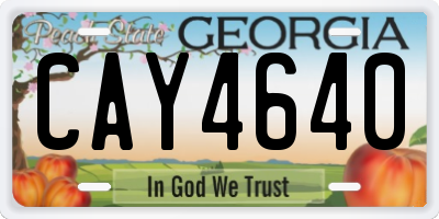 GA license plate CAY4640