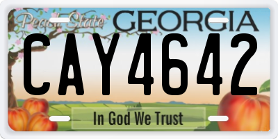 GA license plate CAY4642