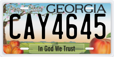 GA license plate CAY4645
