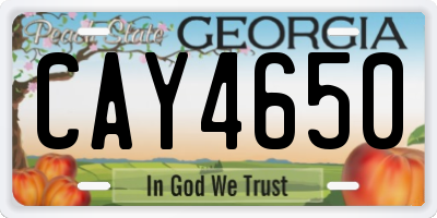 GA license plate CAY4650