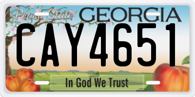 GA license plate CAY4651