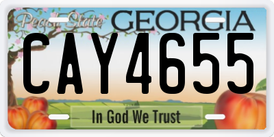 GA license plate CAY4655