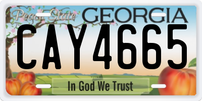 GA license plate CAY4665