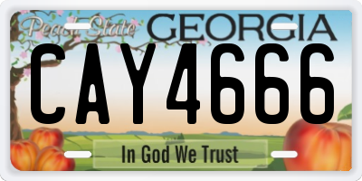 GA license plate CAY4666