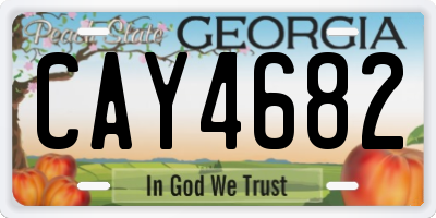 GA license plate CAY4682