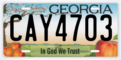 GA license plate CAY4703