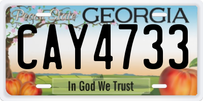 GA license plate CAY4733
