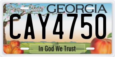 GA license plate CAY4750