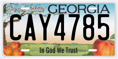 GA license plate CAY4785