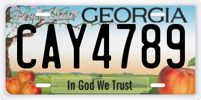 GA license plate CAY4789