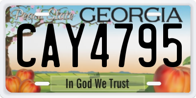 GA license plate CAY4795