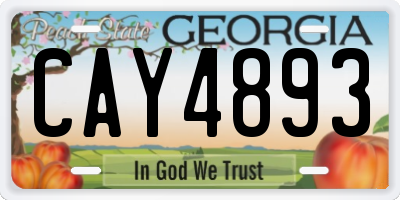 GA license plate CAY4893