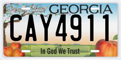 GA license plate CAY4911