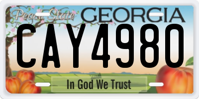 GA license plate CAY4980