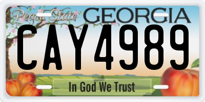 GA license plate CAY4989