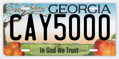 GA license plate CAY5000