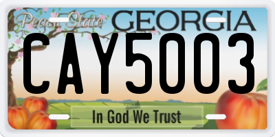 GA license plate CAY5003
