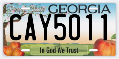 GA license plate CAY5011