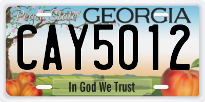GA license plate CAY5012