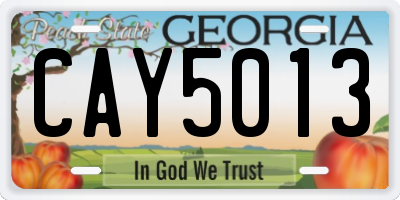 GA license plate CAY5013
