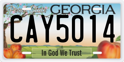 GA license plate CAY5014